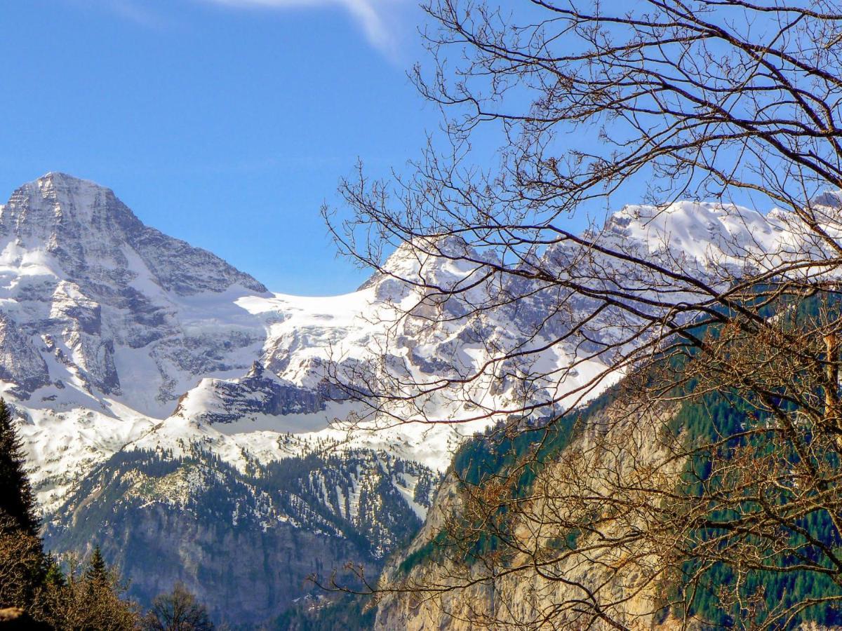 Apartment Fortuna By Interhome Wengen Buitenkant foto