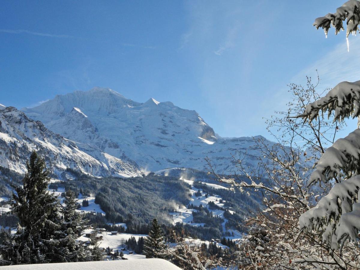 Apartment Fortuna By Interhome Wengen Buitenkant foto
